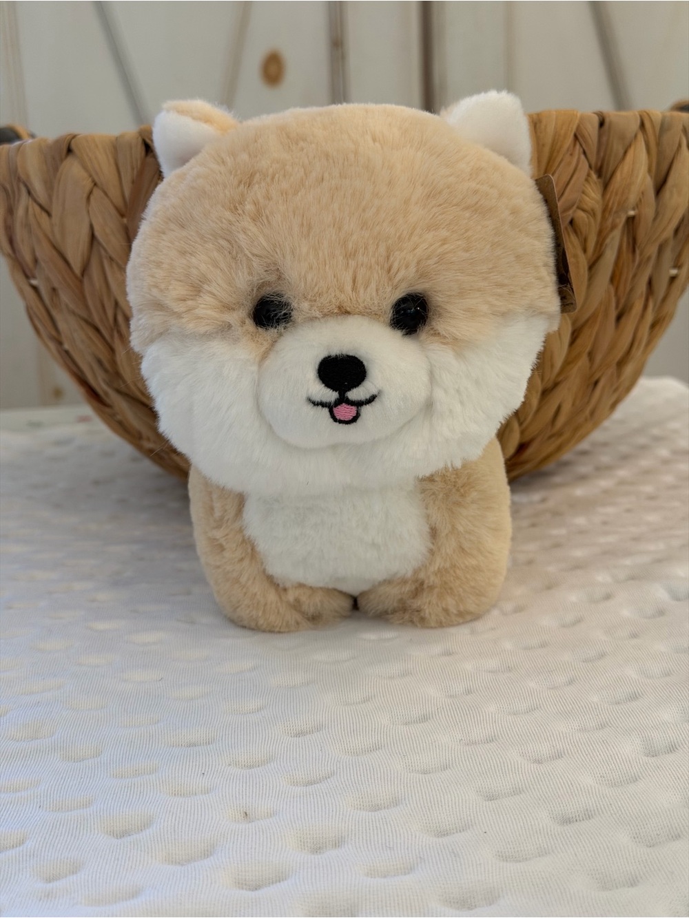 Aurora Beige and White Pomeranian Puppy Plush